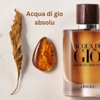Acqua di gio absolu